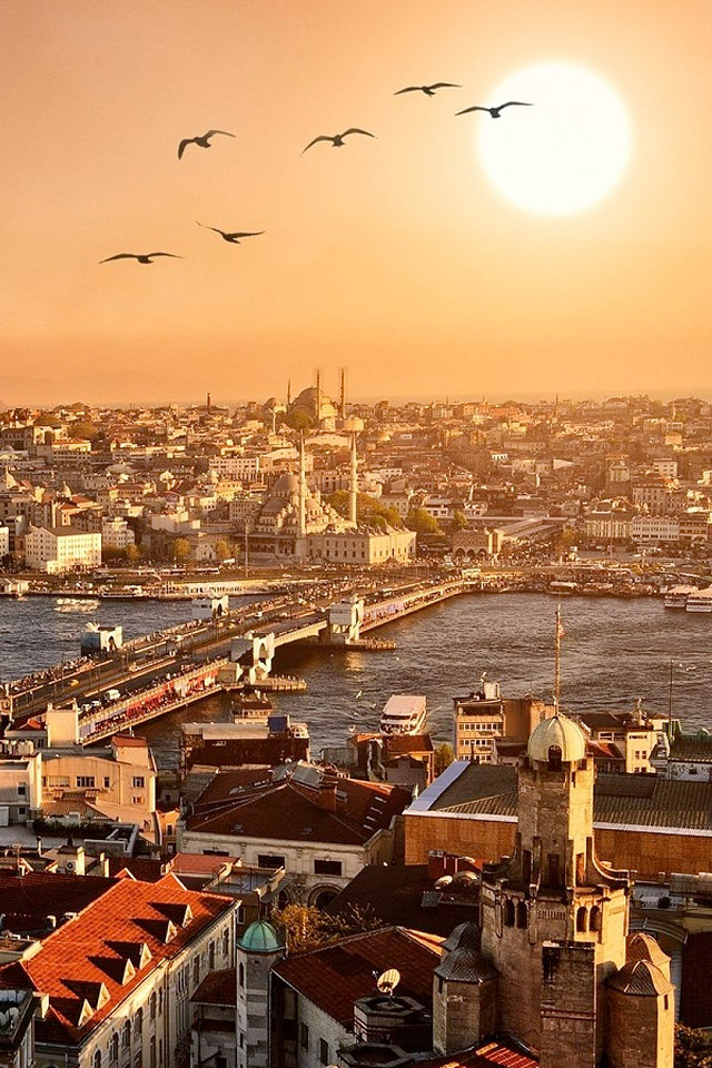 https://thehalcyonpartners.com/wp-content/uploads/2023/02/35-359552_istanbul-wallpaper-istanbul-wallpaper-android.jpg